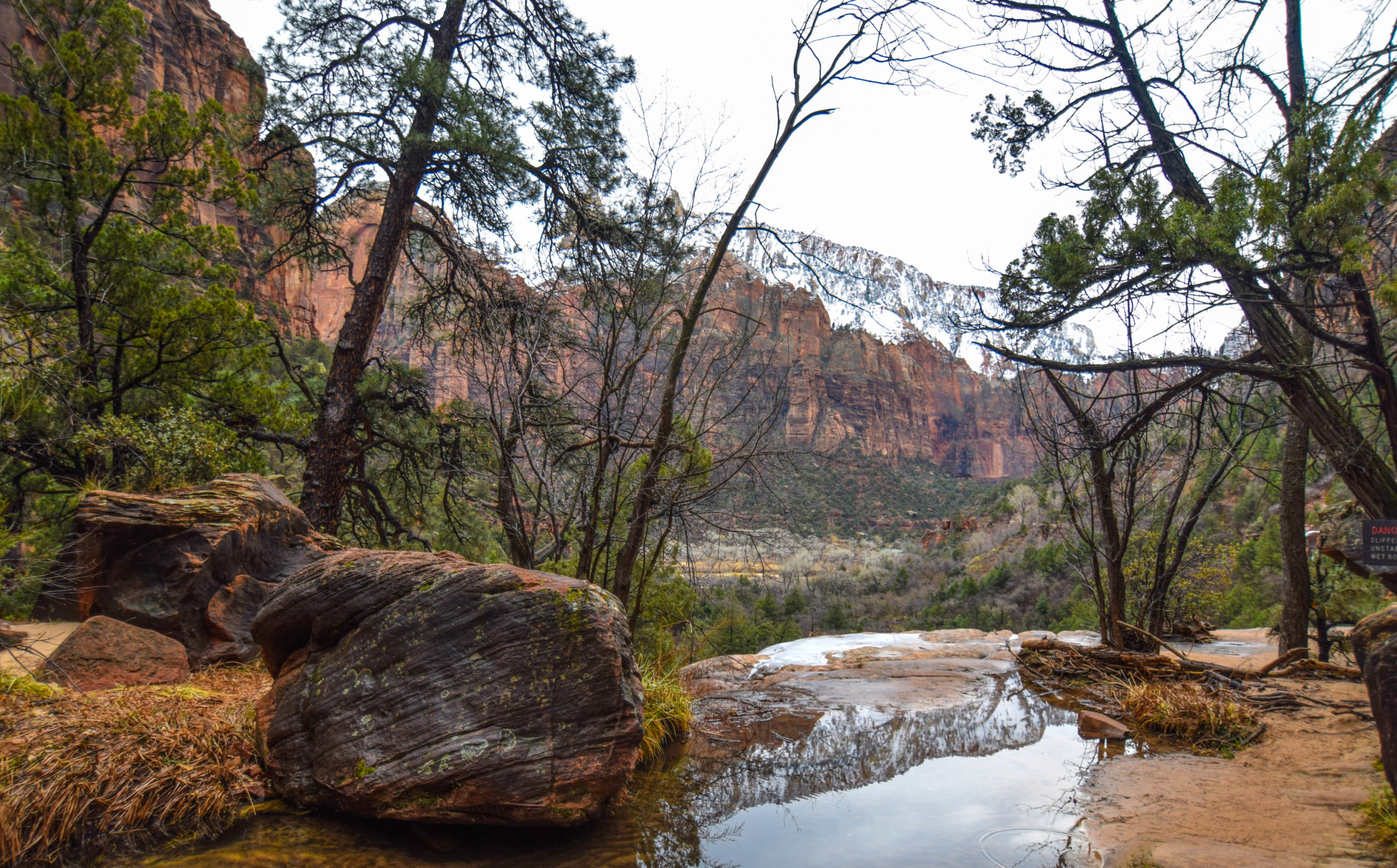 Zion national park