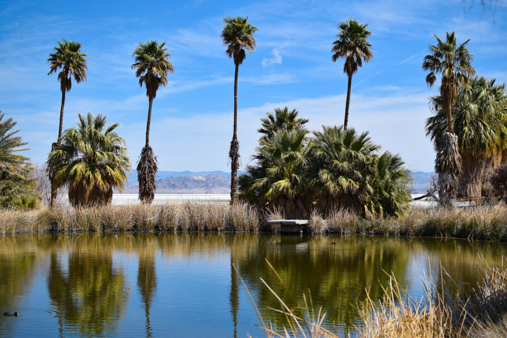 Zzyzx Road: The Strange Truth Behind An Abandoned Healing Center