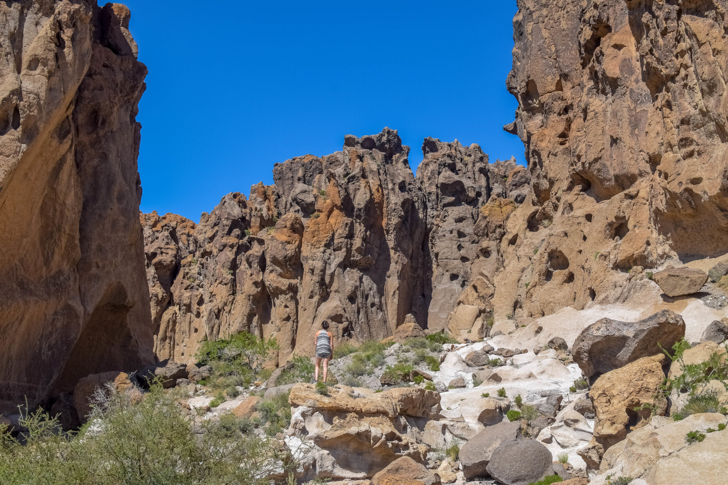 8 Best Desert Spots in the Southern California Desert | We Who Roam